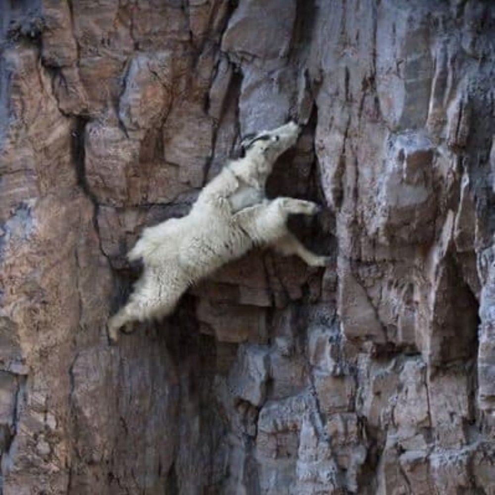 Meet your Posher, Aaron